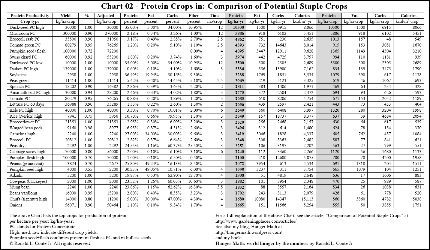 Calories Fat Carbs Protein Chart
