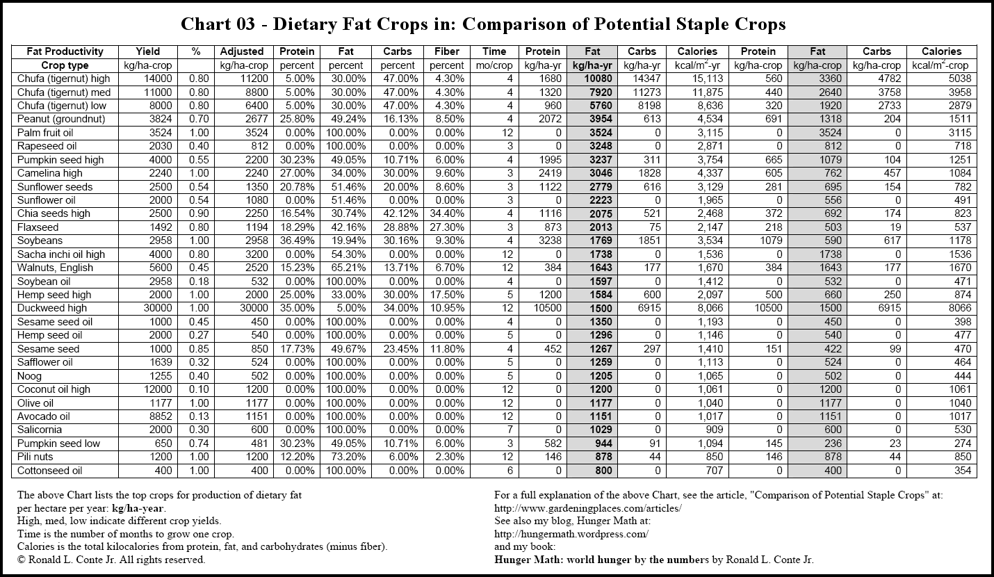 Common Food Carb Chart